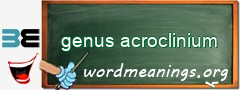 WordMeaning blackboard for genus acroclinium